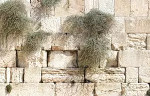 Zeď Nářků